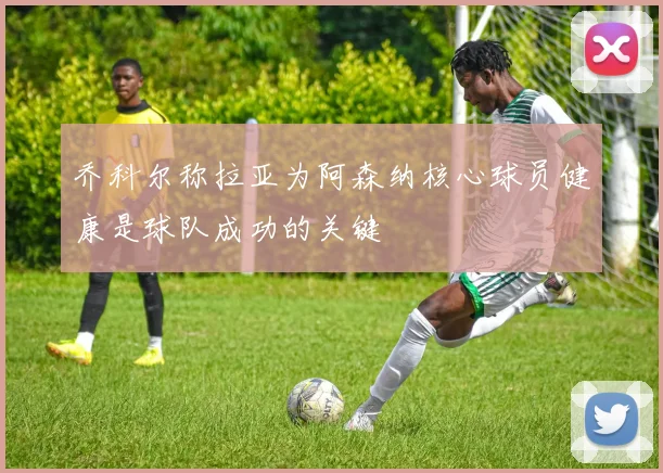 乔科尔称拉亚为阿森纳核心球员健康是球队成功的关键